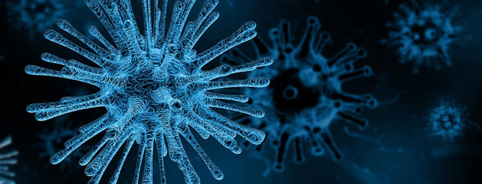 Информация  по профилактике коронавирусной инфекции